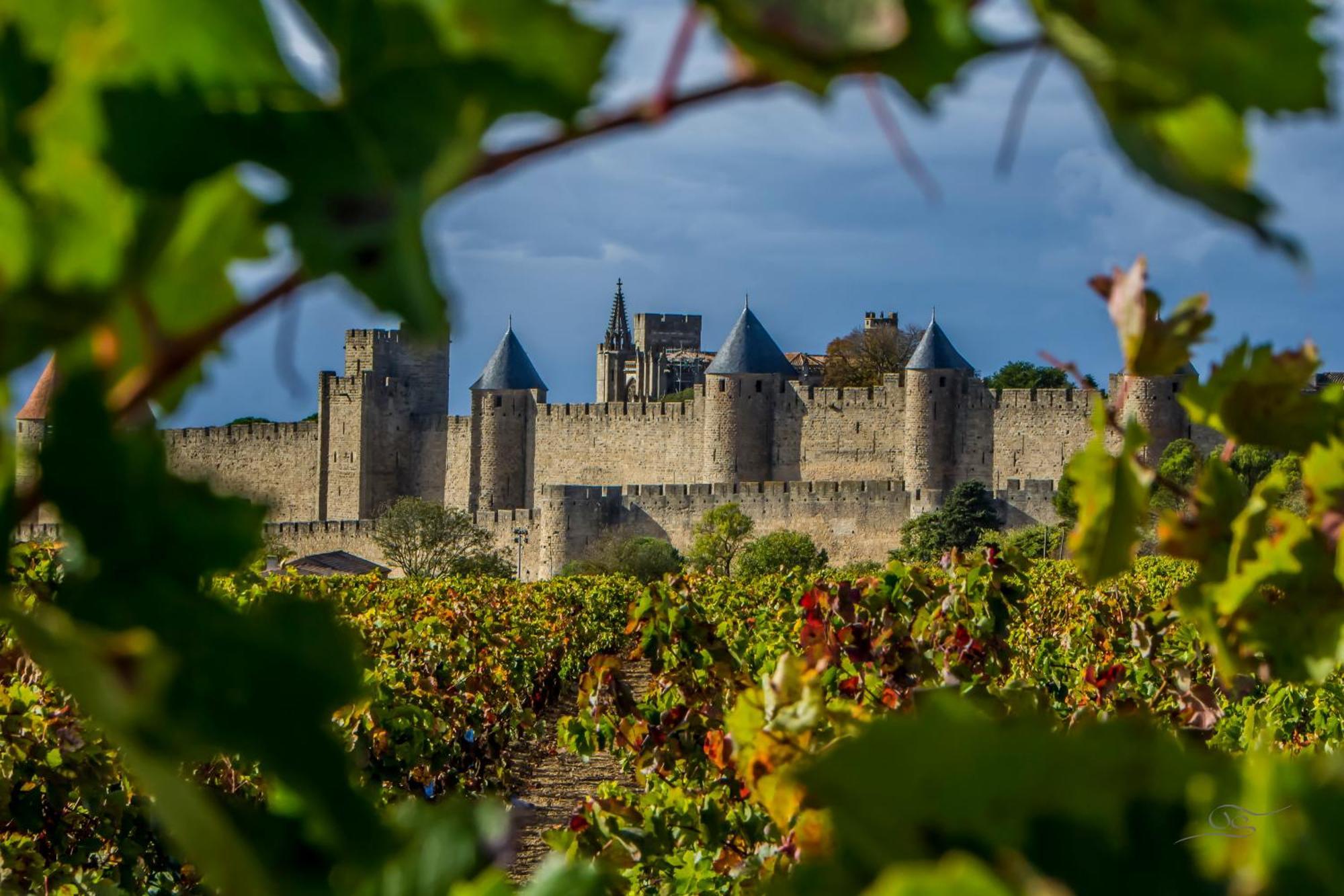 Maison Cantalauze - Pays Cathare - Carcassonne - Canal Du Midi Треб Екстер'єр фото